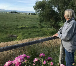 Overlooking field - Bitter Root Land Trust Success Stories